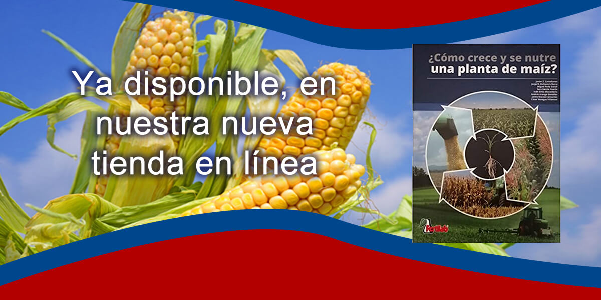 el libro del maiz.jpg